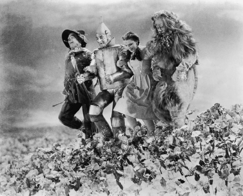 WIZARD OF OZ 8 x 10 photo - Click Image to Close